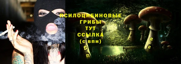 соль ск Алексеевка