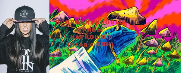 тгк Алзамай