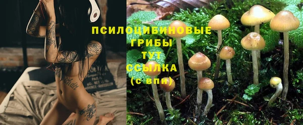 соль ск Алексеевка