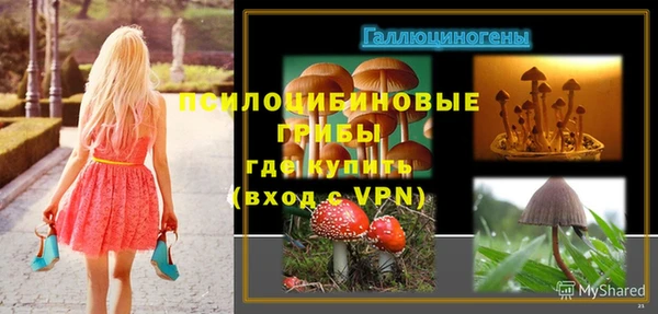 тгк Алзамай