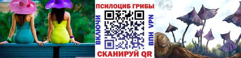 Галлюциногенные грибы ЛСД  Петрозаводск 